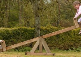 Identificação Projectiva. Pedro Martins - Psicólogo Clínico Psicoterapeuta